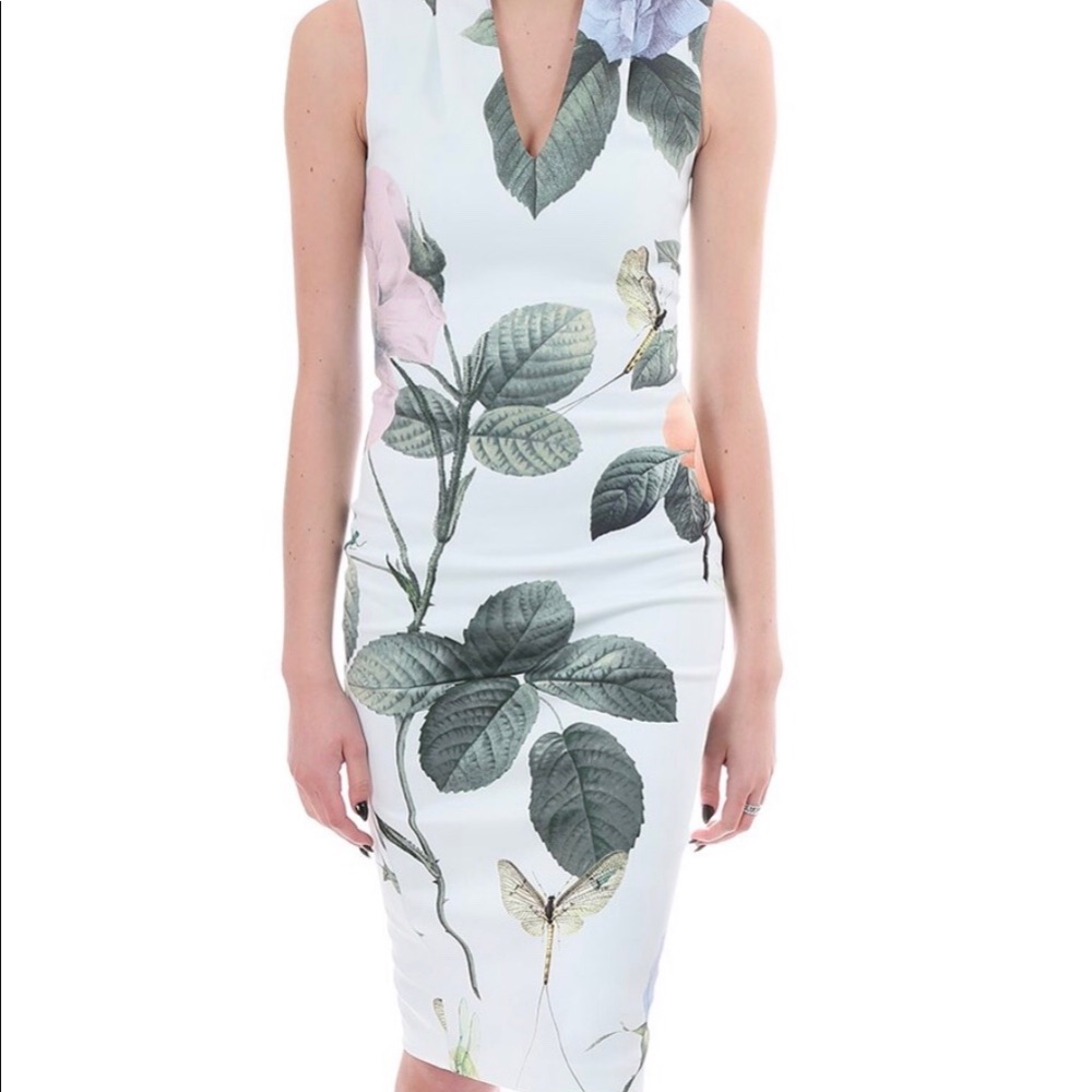 Ted Baker Ravina dress